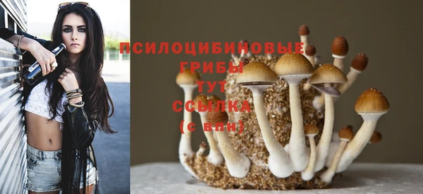 альфа пвп Кулебаки